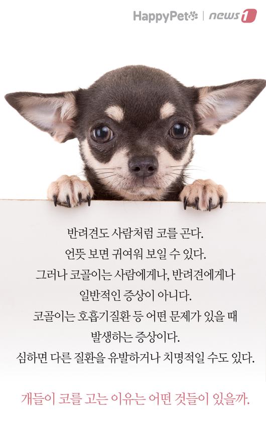 뉴스1