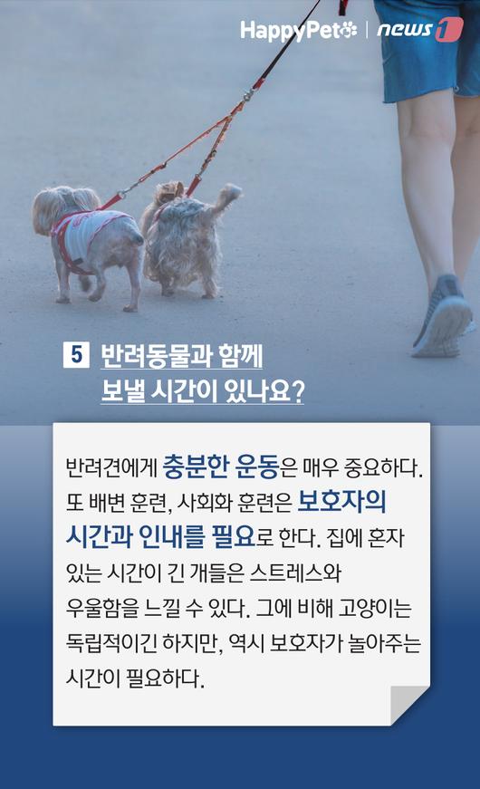 뉴스1