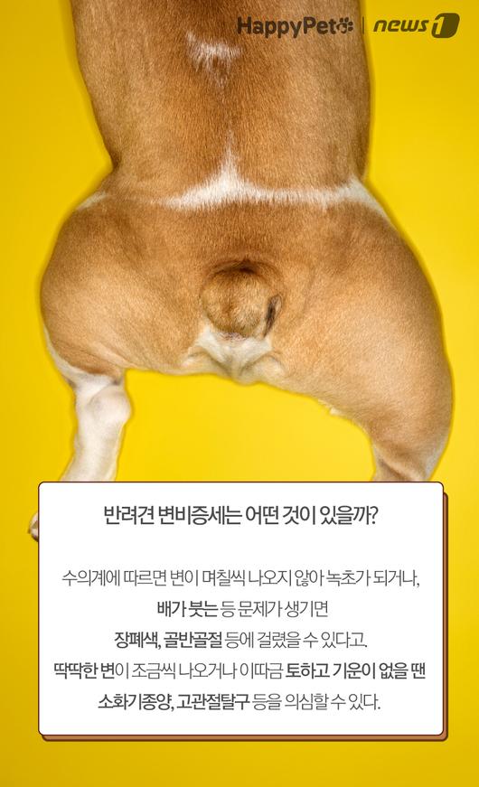 뉴스1