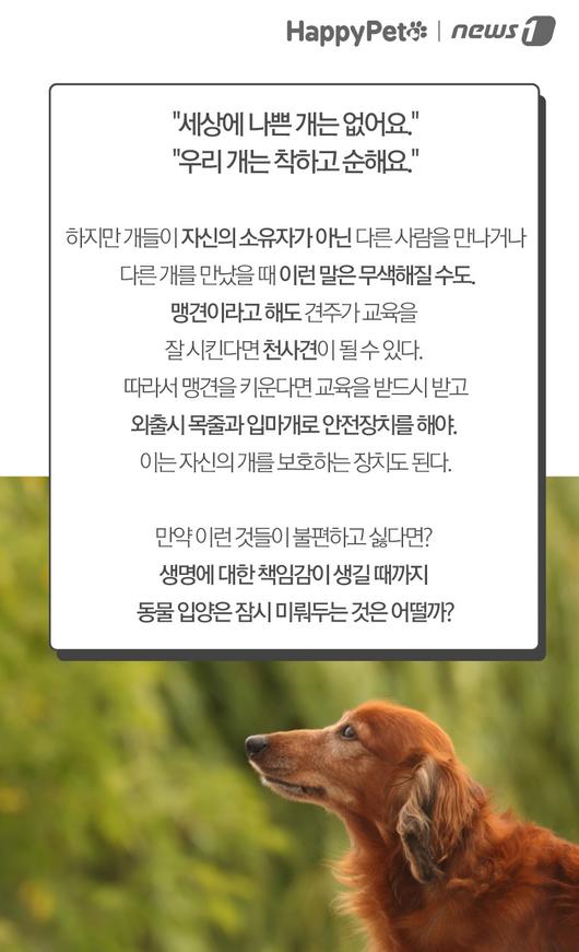 뉴스1