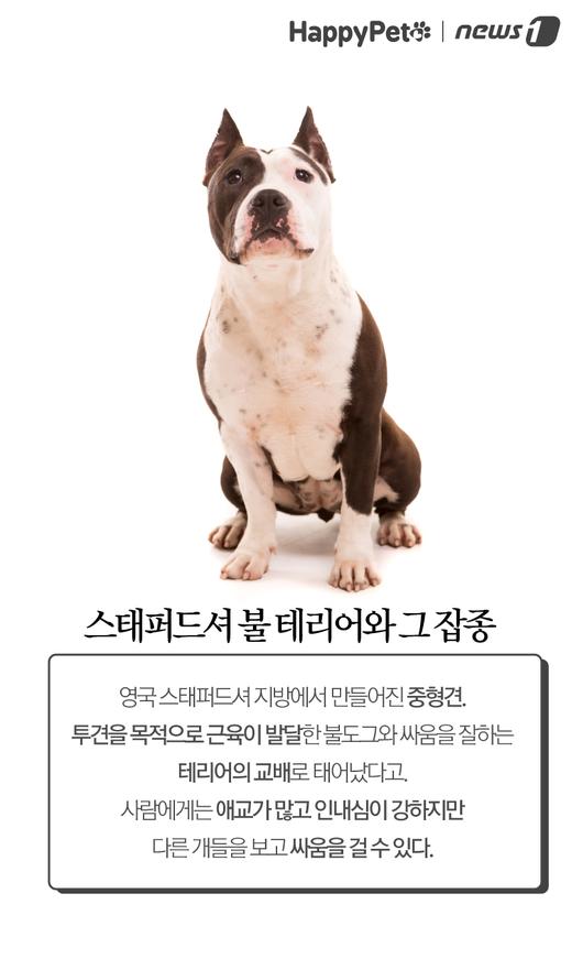 뉴스1