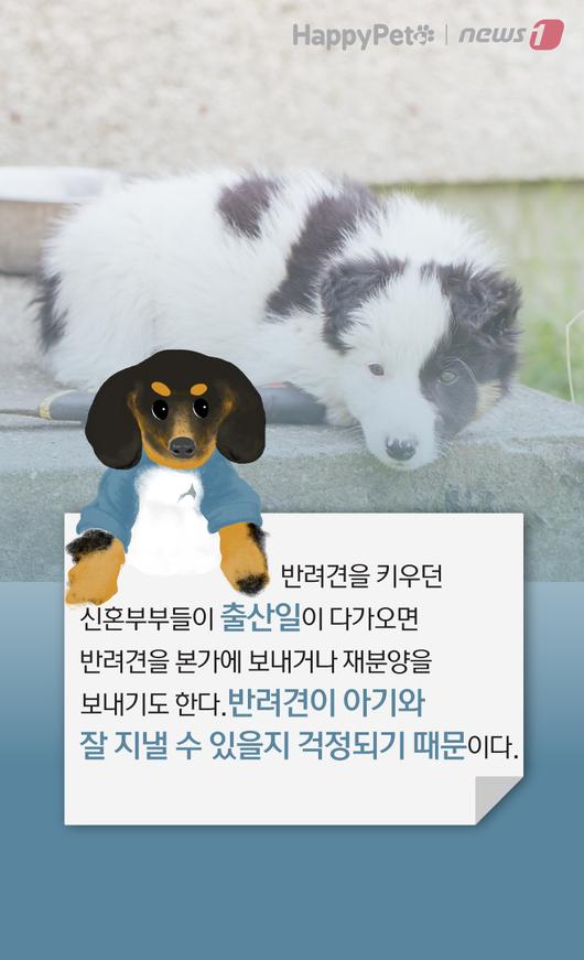 뉴스1