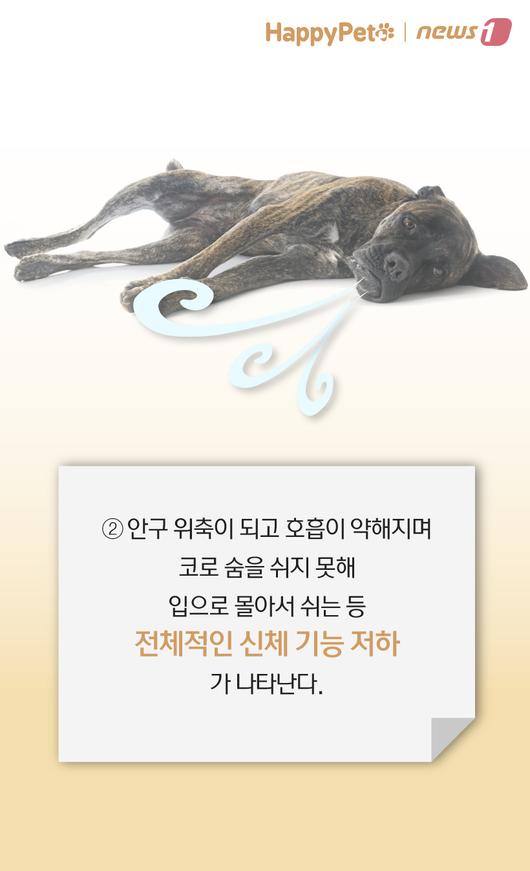 뉴스1