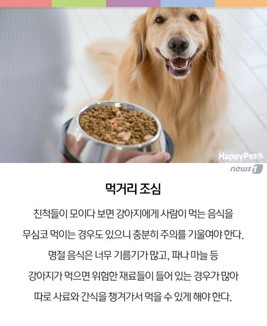 뉴스1