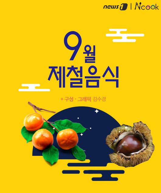 뉴스1