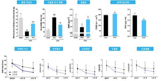 뉴스1