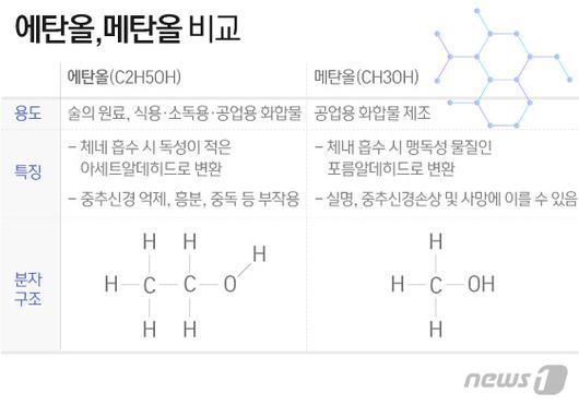 뉴스1