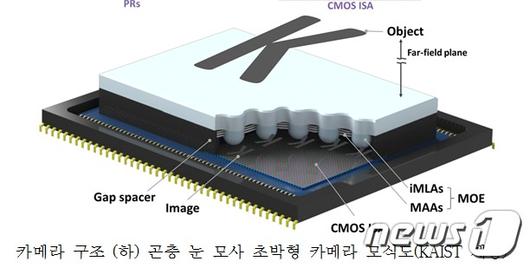 뉴스1