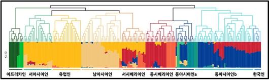 뉴스1