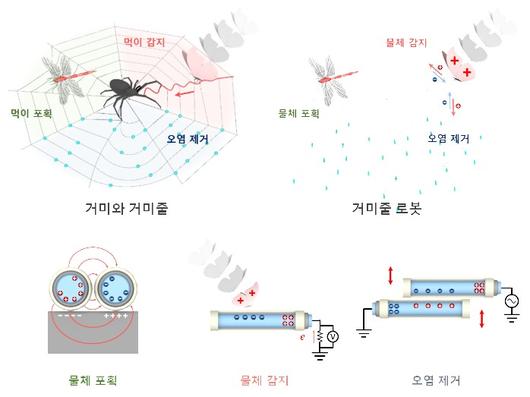 뉴스1