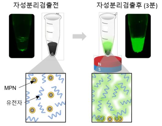 뉴스1