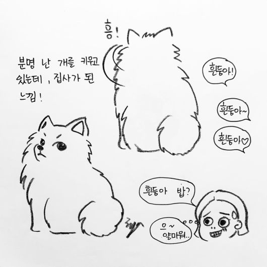 해피펫툰 © 뉴스1