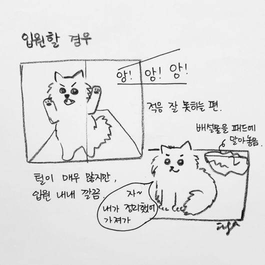 해피펫툰 © 뉴스1