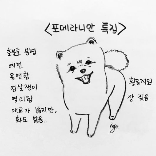 해피펫툰 © 뉴스1