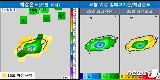 뉴스1