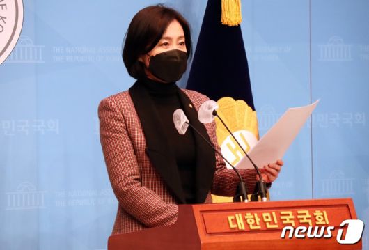 허은아 국민의힘 수석대변인(제공=허은아 의원실) © 뉴스1