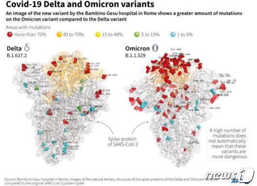 이탈리아 로마 밤비노 예수 병원은 새 변이주 오미크론의 단면도를 공개했다. 델타와 비교해 돌연변이가 훨씬 많다. © AFP=뉴스1 © News1 최서윤 기자
