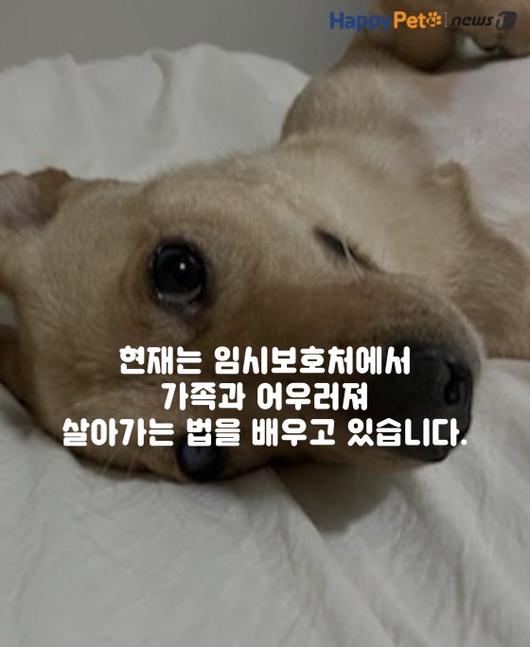 뉴스1