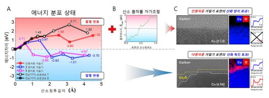 표면 원자계단의 개수에 따라 산소가 구리속으로 침투하는데 필요한 에너지가 달라진다. 그림 A는 표면 원자계단이 한 층인 경우 산소침투는 흡열 반응이고 두층 이상인 경우 발열 반응을 함을 계산을 통해서 보여준다. 그림 B는 산소가 평탄한 구리 표면을 50% 이상 점유하면 스스로 산소를 밀어내는 자기-조절 기능을 가짐을 보이고, 그림 C 에서는 실제로 초평탄 면에는 산화면이 존재하지 않고 원자계단이 두 층 이상인 경우 산화층이 존재함을 실험적으로 보여준다. (정세영 부산대학교 교수 제공) 2022.03.16 /뉴스1