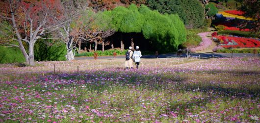 노코노시마 아일랜드 파크ⓒ News1 윤슬빈 기자