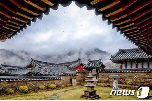 뉴스1