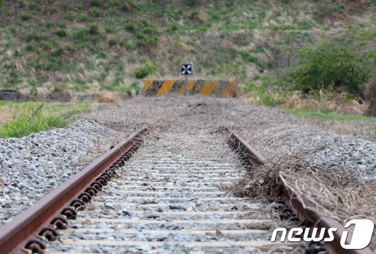 강원도 고성군 민통선 내 동해선 제진역 강릉 방향 철로 자료 사진.(뉴스1 DB)
