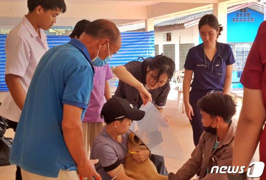 국경없는 수의사회는 12일 라오스 국립대학교 동물병원에서 동물의료봉사 활동을 했다. ⓒ 뉴스1 최서윤 기자