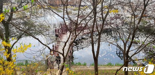 옛 대통령 별장 청남대.(자료사진) / 뉴스1