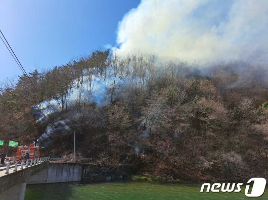 뉴스1
