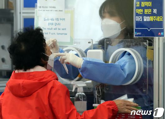 뉴스1