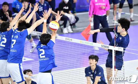 뉴스1