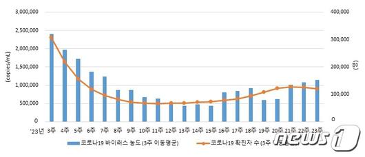 뉴스1