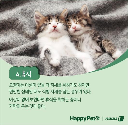 뉴스1