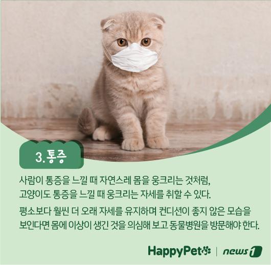 뉴스1