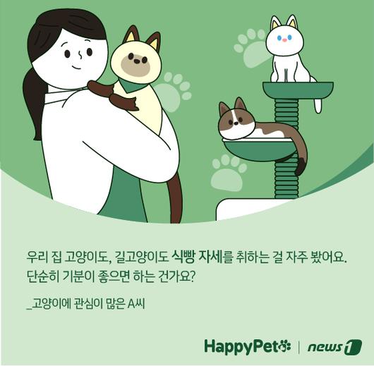 뉴스1