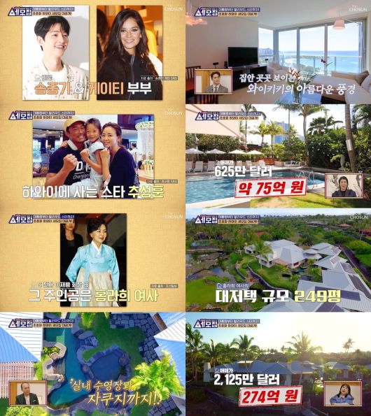 (TV조선 '세모집-세상의 모든 집' 갈무리)