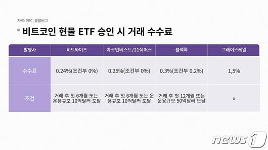 뉴스1