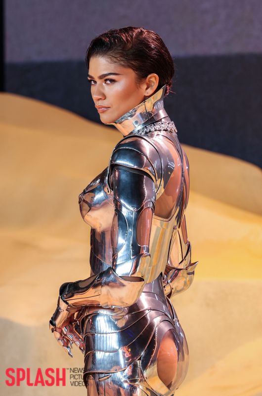 젠데이아/Splash News ⓒ 뉴스1 /