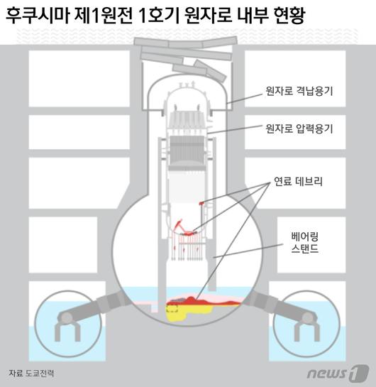 뉴스1