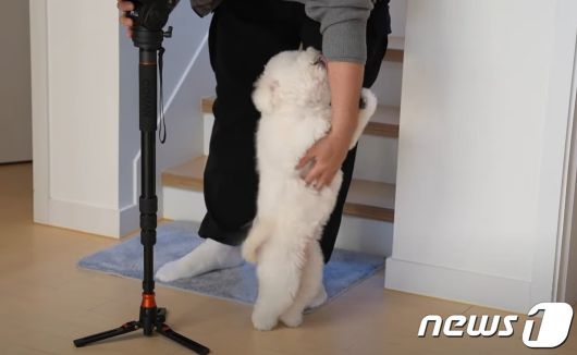 앞발 들고 서 있는 강아지(성시경 유튜브 갈무리) ⓒ 뉴스1
