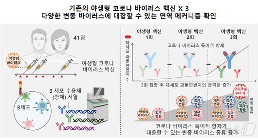 뉴스1