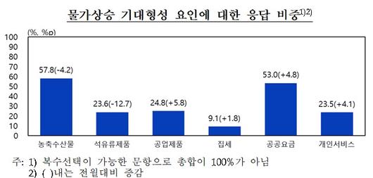 뉴스1