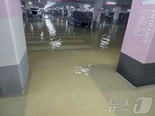 뉴스1