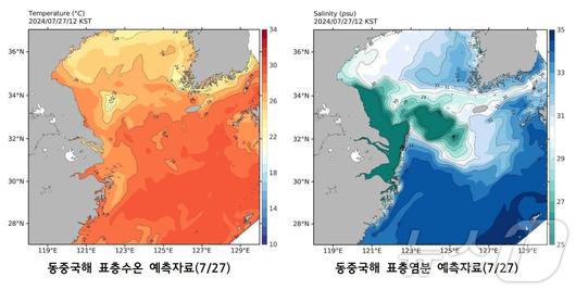 뉴스1