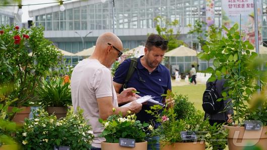 글로벌 유통사 플랜팁(Plantipp)이 국립세종수목원에서 개최한 ‘2024 정원식물 전시·품평회’ 현장을 방문해 출품식물을 확인하고 있다. (한국수목원정원관리원 제공) /뉴스1