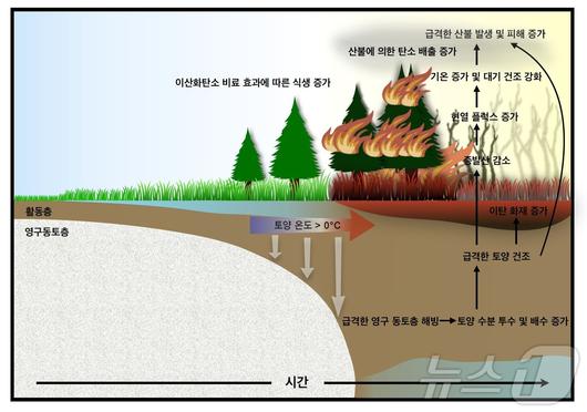 뉴스1