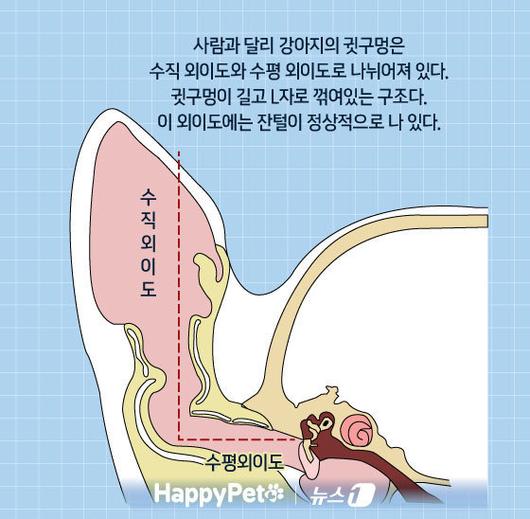 뉴스1