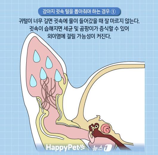 뉴스1