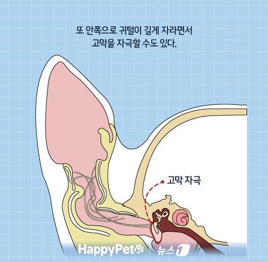 뉴스1