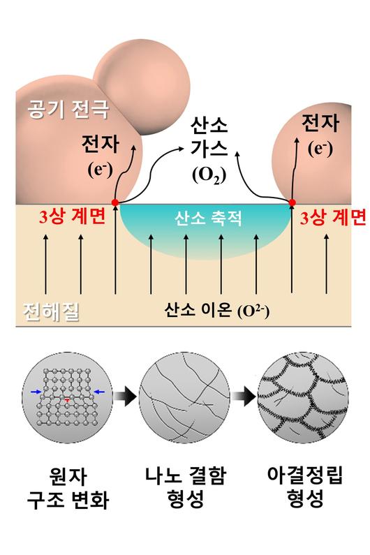 뉴스1